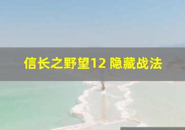 信长之野望12 隐藏战法